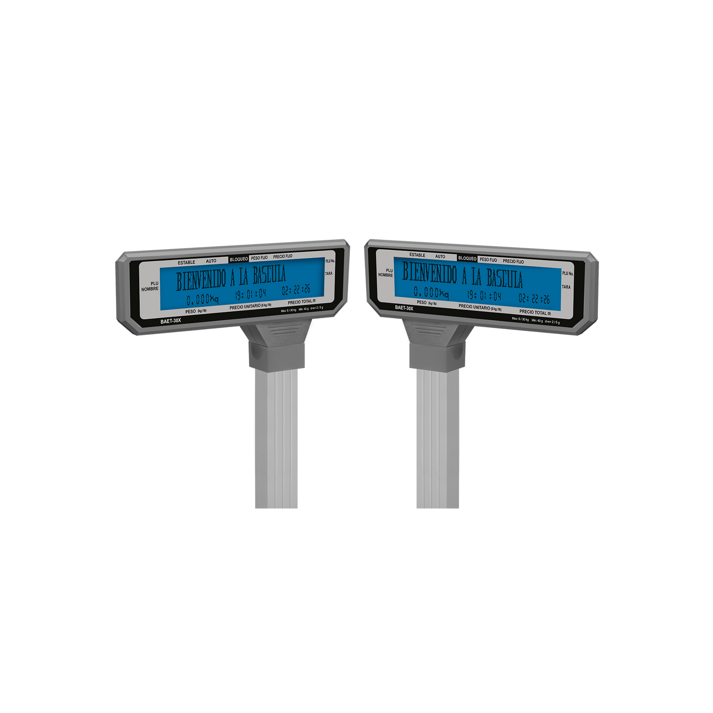 Báscula electrónica con torreta software intuitivo