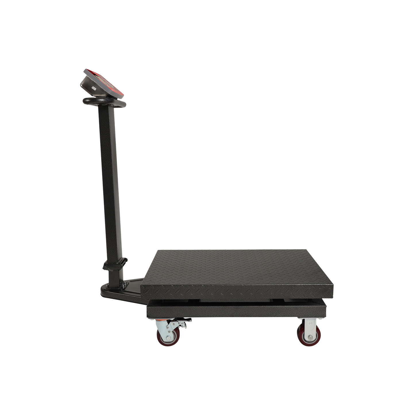 Báscula de 800kg / 500g. BAPLE-800