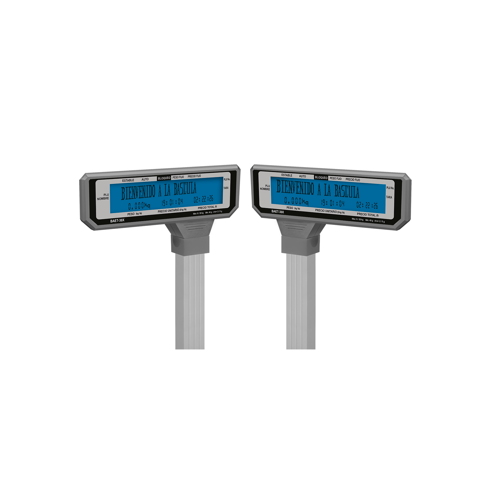 Báscula electrónica con torreta software intuitivo