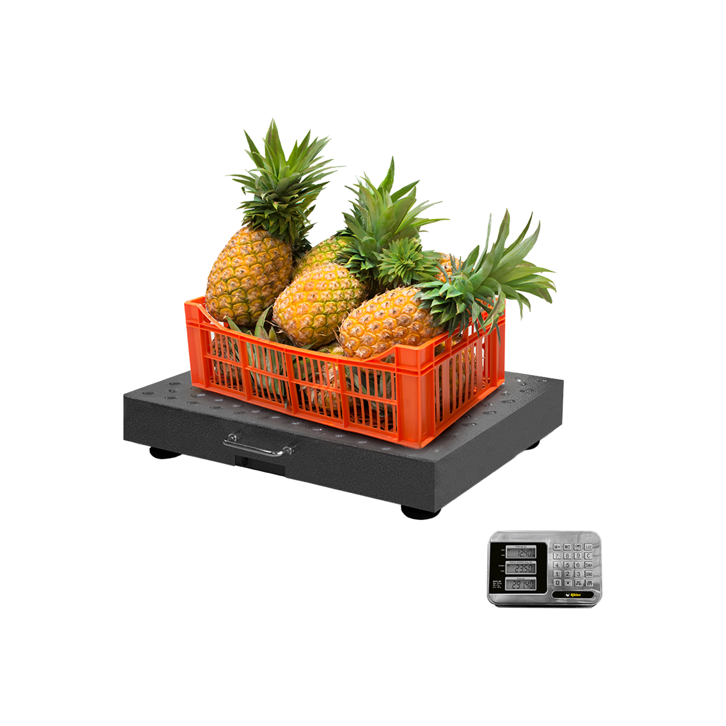 Báscula de 300kg / 100g.