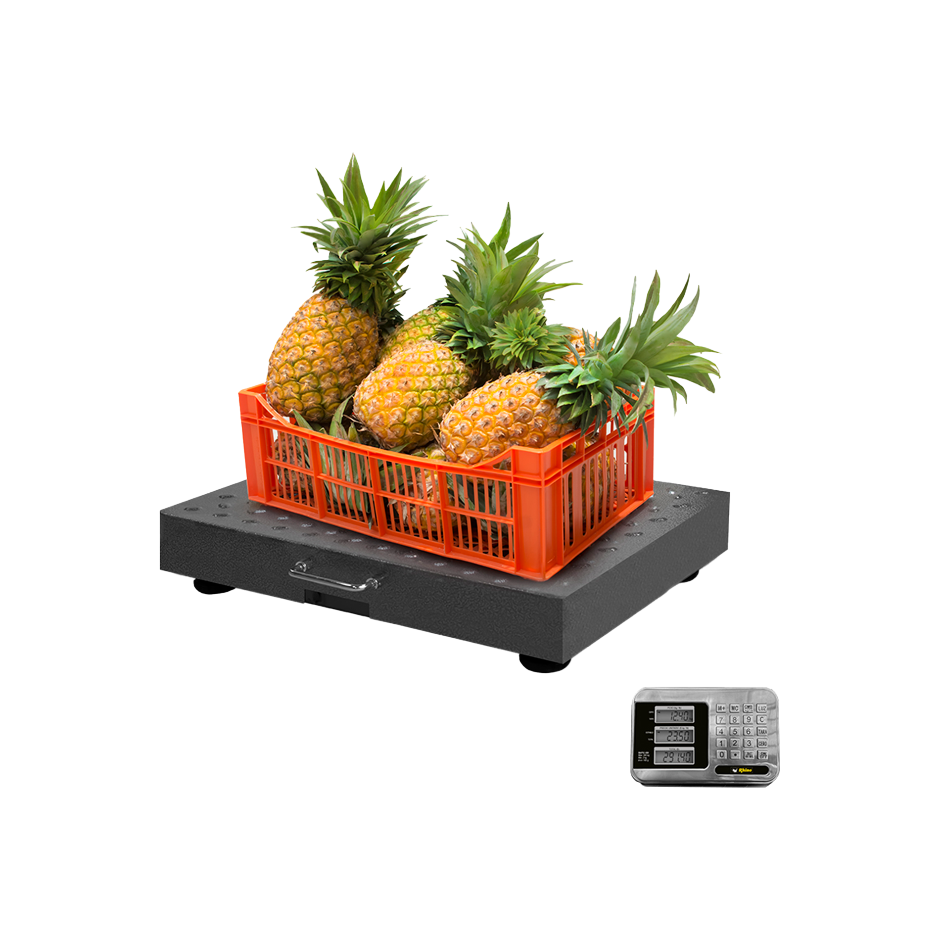 Báscula de 300kg / 100g.