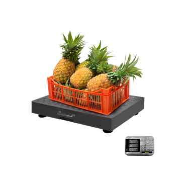 Báscula de 300kg / 100g.