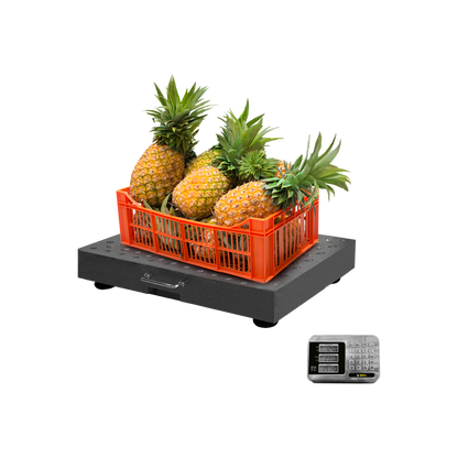 Báscula de 300kg / 100g.